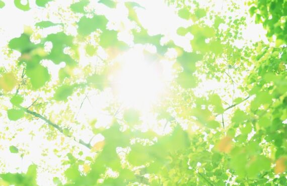 但馬の教習所で低い座席のローダウン大型２輪教習は和田山です。 